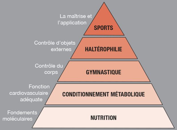 Hierarchies-crossfit